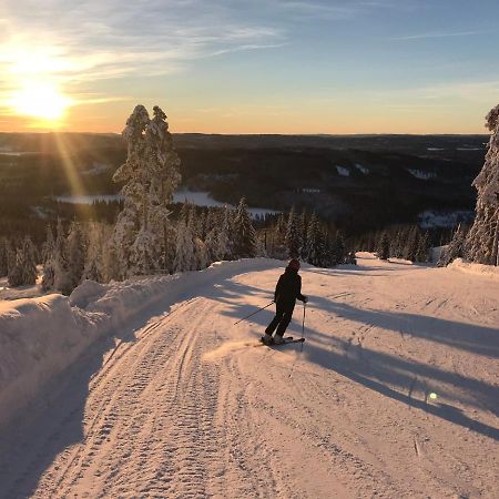 Villa Raemsbyns Fritidsomrade - Den Perfekta Platsen Foer Avkoppling Idkerberget Esterno foto